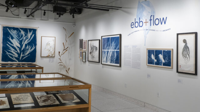 Ebb and Flow: Giant Kelp Forests through Art, Science and the Archives